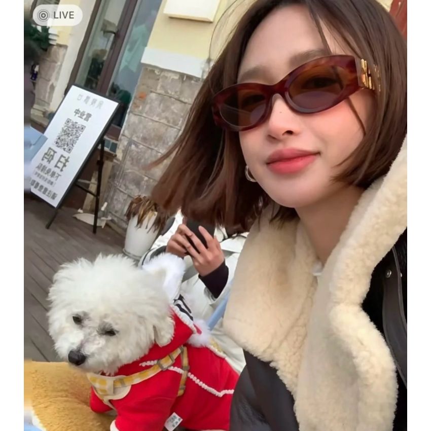 Miu Miu Sunglasses